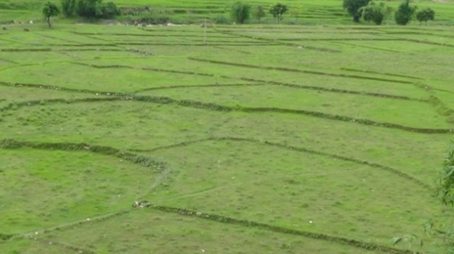 बागलुङको तमान गाउँमा खेतीयोग्य जमिन वर्गीकरण गरिँदै