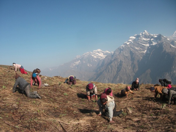 जुम्लाको पाटनमा बेपत्ता १२ जना सकुशल घर फिर्ता