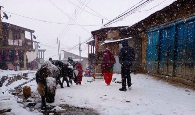 कर्णालीका हिमाली जिल्लाहरुमा हिमपात र वर्षा
