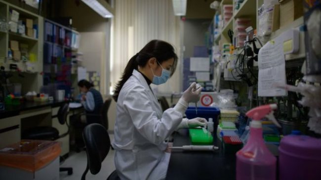 कोरोनाभाइरस नियन्त्रणमा आश्चर्यजनक सफलताका लागि दक्षिण कोरियामा जे भइरहेछ…
