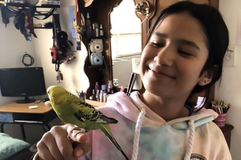 लकडाउनमा आमा खानेकुरा किन्न गइन्, घरमा १३ वर्षकी छोरीको बलात्कारपछि हत्या