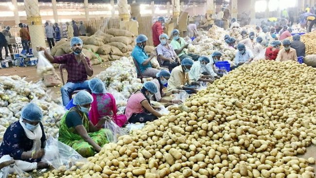 भारतमा कोरोना संक्रमितको संख्या ४७८१ पुग्यो, दोस्रो र तेस्रो स्टेज चल्दै