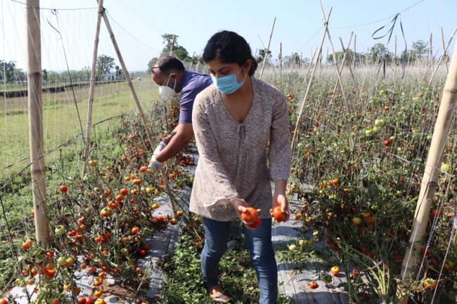 विद्यार्थी नेत्री व्यवसायिक कृषिमा लागेपछि…