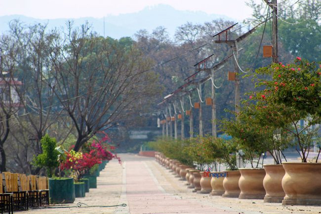 लकडाउनमा ग्रिनसिटी बन्दै काठमाडौं (फोटो फिचर)