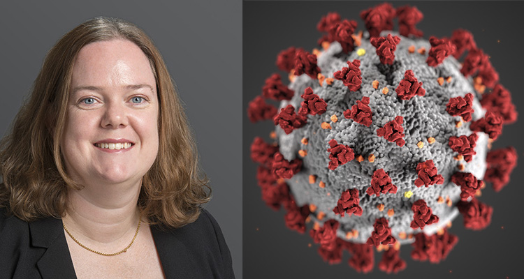 ४८ घण्टामै कोरोनाभाइरस निको पार्ने औषधीको खोज गरेको अस्ट्रेलियाकी वैज्ञानिकको दावी