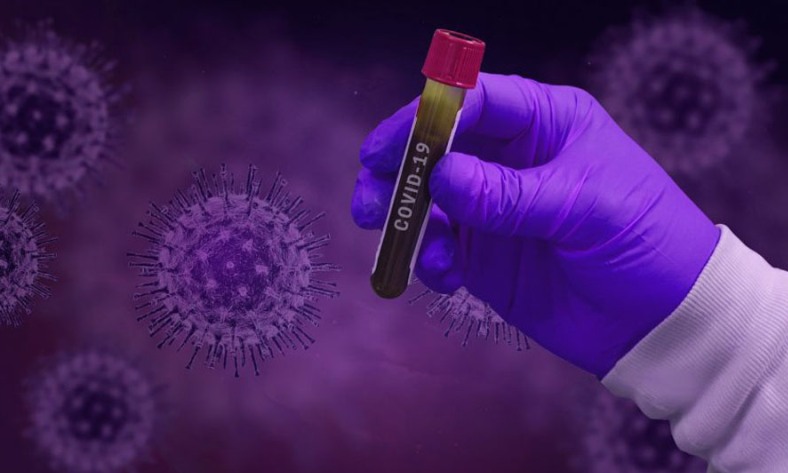 प्रदेश २ मा २ हजार नमूना सङ्कलन