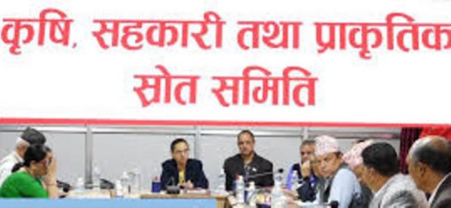 कृषिउपज सहजरुपमा उपभोक्ता समक्ष पुर्‍याउन संसदीय समितिको निर्देशन