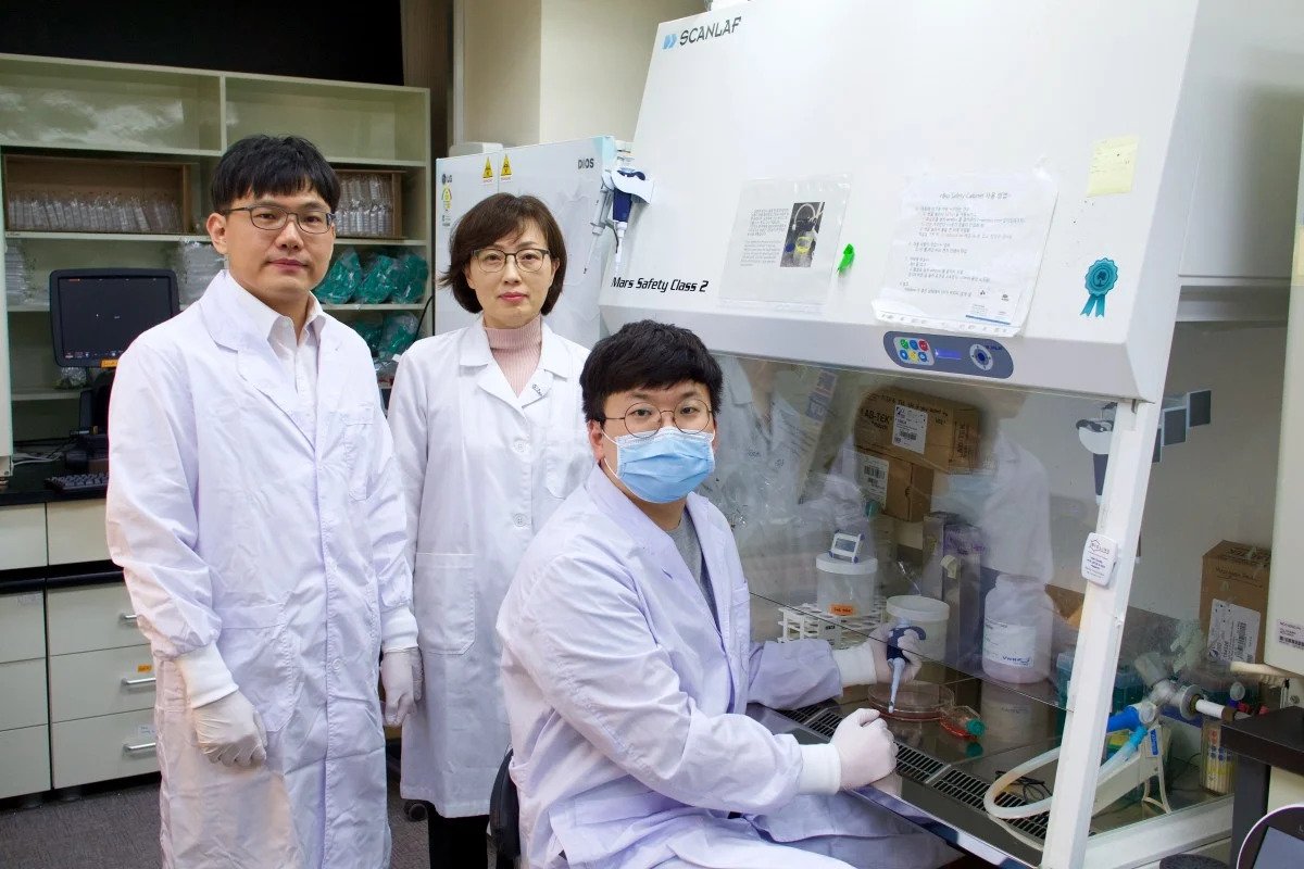 कोरोनाभाइरसको नियन्त्रणमा कोसेढुंगा, दक्षिण कोरियाली वैज्ञानिकले ‘जीनोम म्याप’ बनाए