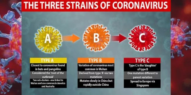 अनुसन्धानको खुलासाः अहिले महामारी मच्चाउने कोरोनाभाइरस एउटै होइन ३ प्रकारका छन्