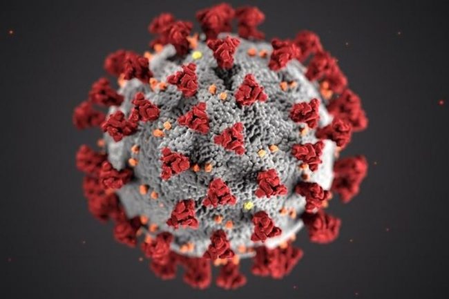 जापान जुडो संघका प्रबन्ध निर्देशक कोरोनाबाट संक्रमित