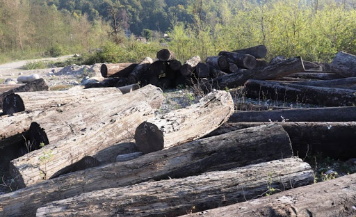 लकडाउनको मौका छोपी चोरी तस्करी बढ्यो