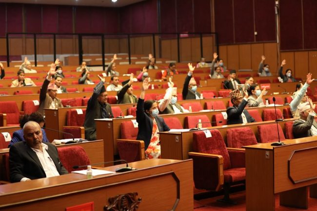 भित्रभित्रै कसरी फेरियो संसदमै जासुसको कानुन ?