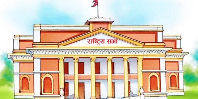 दश प्रतिशतभन्दा बढी बजेट स्वास्थ्य क्षेत्रमा हुनुपर्छः सांसद