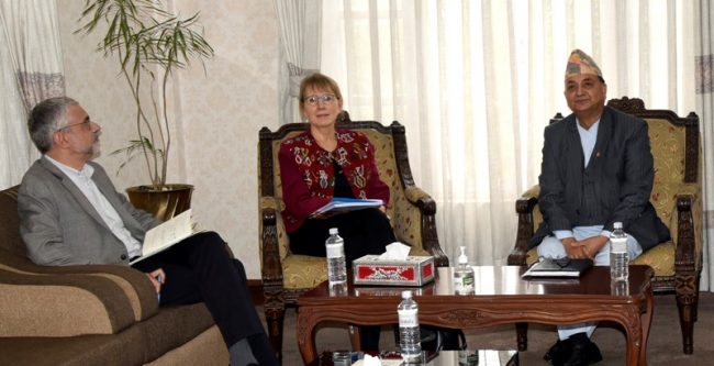 उपप्रधानमन्त्री पोखरेलसँग संयुक्त राष्ट्रसङ्घका आवासीय प्रतिनिधिको भेट