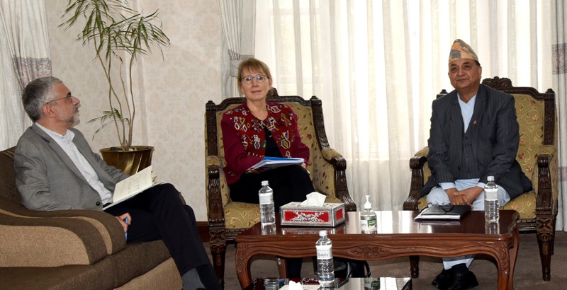 उपप्रधानमन्त्री पोखरेलसँग संयुक्त राष्ट्रसङ्घका आवासीय प्रतिनिधिको भेट