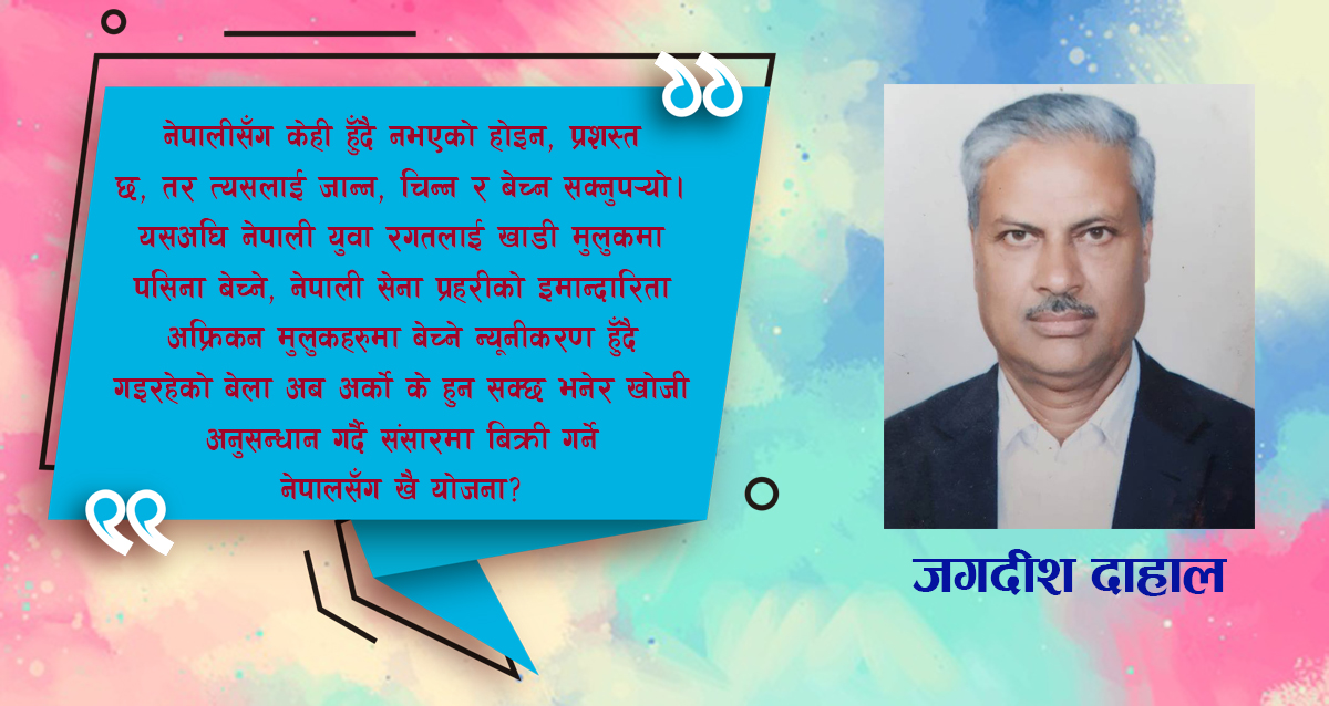 नीति विनाको सरकारको नीति तथा कार्यक्रम