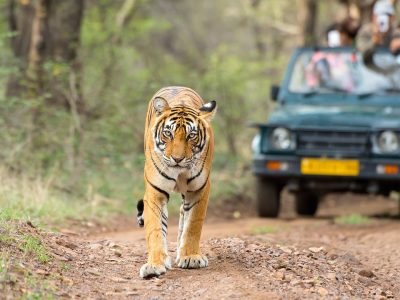 बाँके राष्ट्रिय निकुञ्जमा भौतिक पूर्वाधारमा लगानी गर्न आग्रह