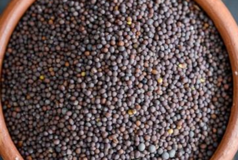 ब्यङ्ग्य कविता – ‘कोदो र तोरी, भाँडा भरि’