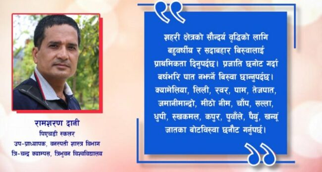 हरित शहर र यसका सपनाहरू