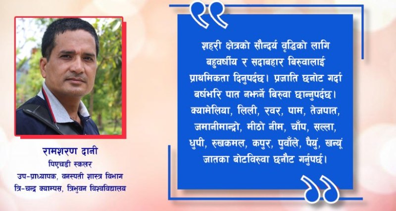 हरित शहर र यसका सपनाहरू