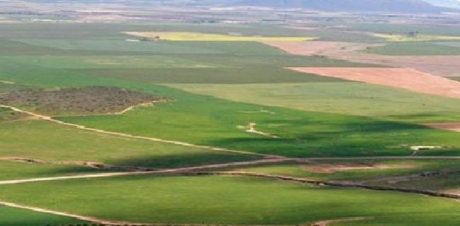 रोपाइँ गर्न नपाएपछि महोत्तरीका किसान निराश