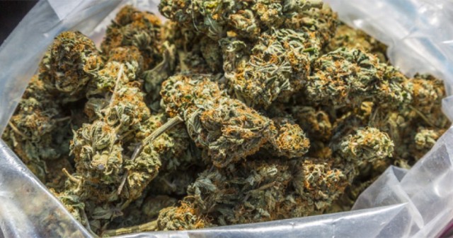 लकडाउनको मौका छोपी भारत लैजान लुकाइ राखेको करीब २ क्विन्टल गाँजा बरामद