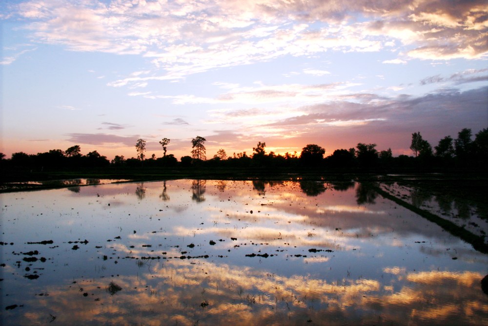 गोधुली साँझमा तरकापुरको खेत