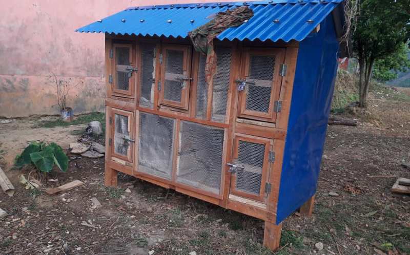 कुखुराको खोरमा गाँजाको भण्डार