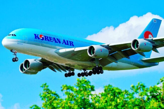 २३६ नेपाली यात्रु बोकेर कोरियन एअर शनिबार उड्दै