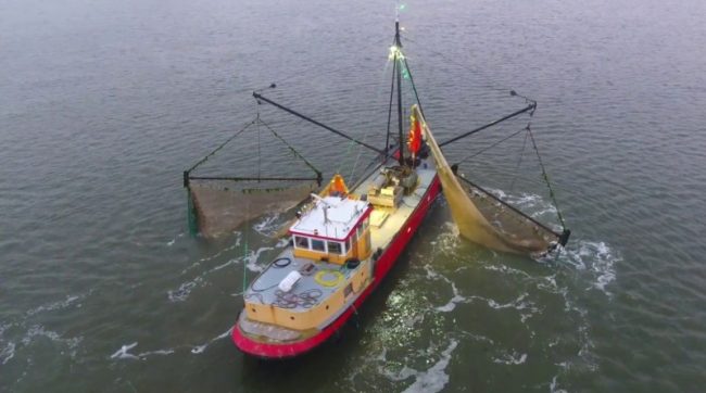 माछा मार्नेहरु रहेको डुङ्गा दुर्घटना हुदाँ फिलिपिन्समा १४ जना बेपत्ता