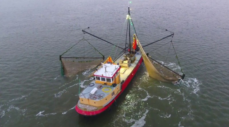 माछा मार्नेहरु रहेको डुङ्गा दुर्घटना हुदाँ फिलिपिन्समा १४ जना बेपत्ता