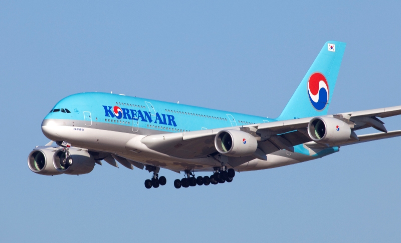 दक्षिण कोरियाबाट काठमाडौँ आइपुगे २२८ नेपाली, आजै युएइबाट १६८ जना आउँदै