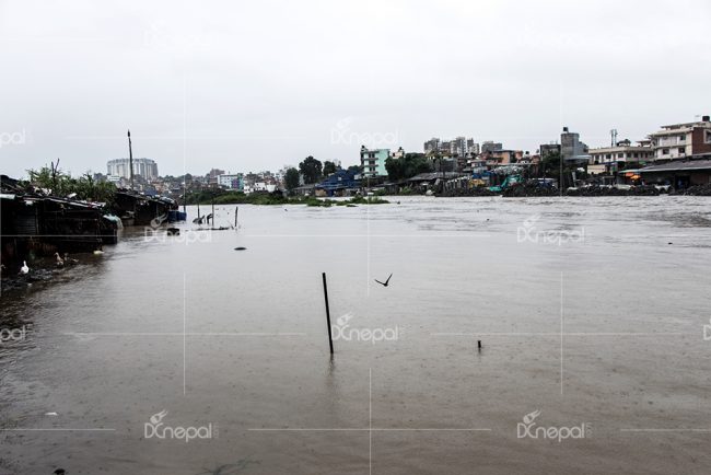 प्रदेश नं १ : बाढीमा फसेका दुईको नेपाली सेनाद्वारा उद्धार