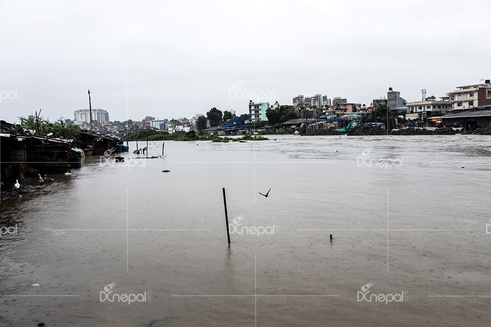 प्रदेश नं १ : बाढीमा फसेका दुईको नेपाली सेनाद्वारा उद्धार