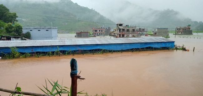 कास्कीको कमलपोखरी तालमा बाढी, नजिकका २० घर डुवानमा