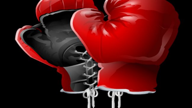 बक्सिङ सङ्घले पायो नयाँ नेतृत्व