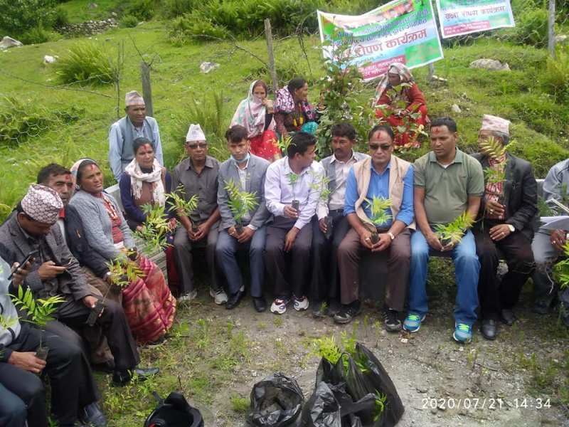 बीपी स्मृति दिवशको अवसरमा वृक्षा रोपण