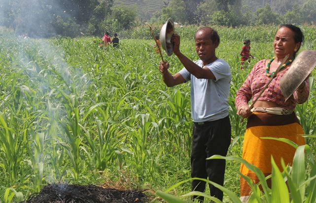 सलह भगाउन टिन र थाल ठटाउँदै