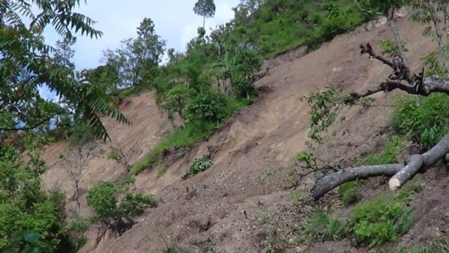 सिलिचोङमा सात घर पहिरोले बगायो, ११ जना सम्पर्क विहीन