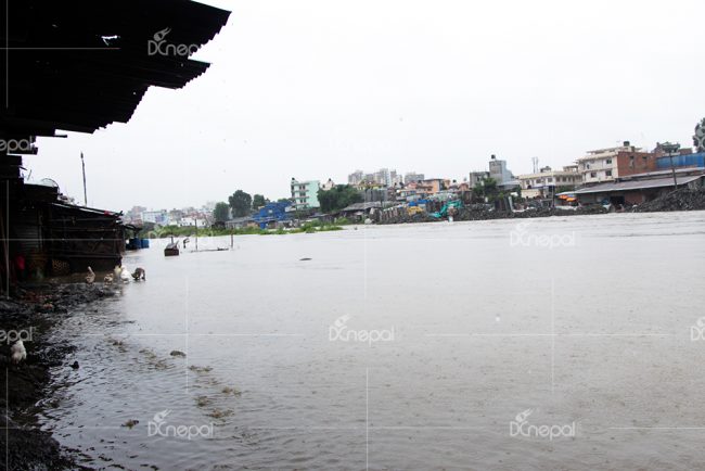 आगामी २४ घण्टा पनि मुलुकभर वर्षा हुने
