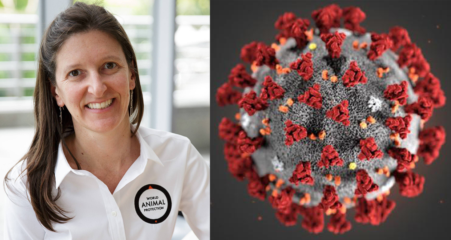 कोरोनाभाइरसभन्दा खतरनाक भाइरस चीनबाटै फैलिने खतरा, वैज्ञानिकको चेतावनी