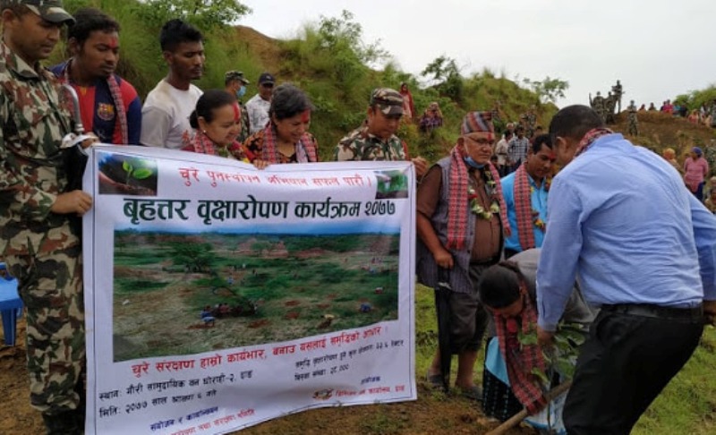 वन पुनःस्थापना अभियान, २८ हजार बिरुवा रोपियो