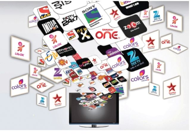 क्लिन फिड नीति साउन १ गतेदेखि नै लागू गर्न माग