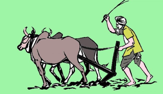 मुक्तहलियाको पीडाः वर्षौँदेखि जङ्गलमा बास