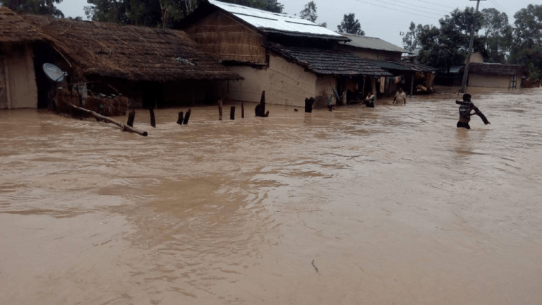 पाँच दिनपछि बल्ल पेट भरियो