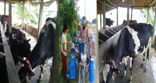 कोरोनाले छेकेन यादवको कर्मलाई