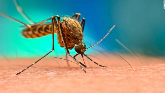 मलेरियाको उच्च जोखिम क्षेत्रमा विषादी छर्किंदै
