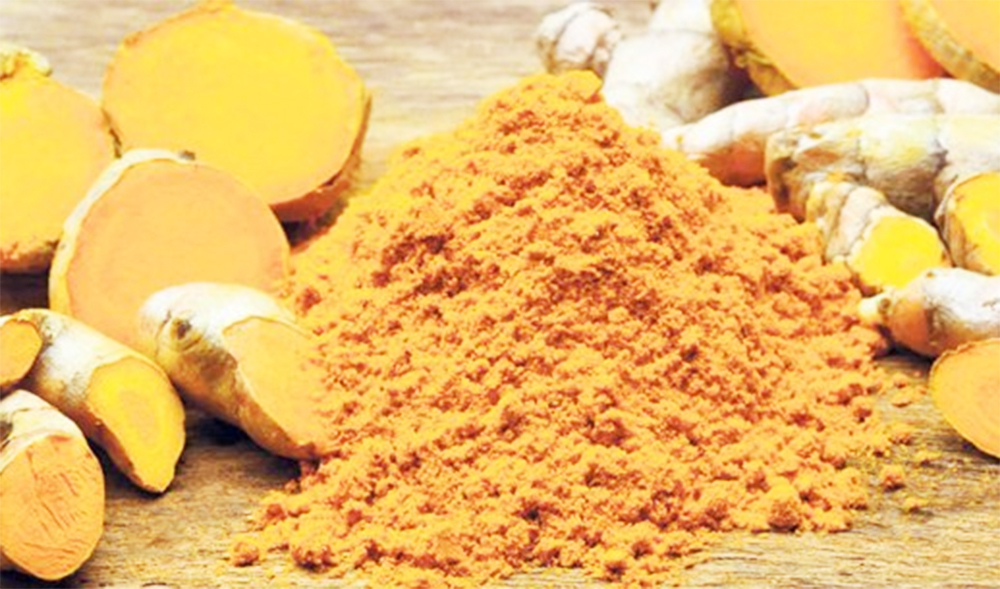 कुतियारकवरवासीको आम्दानीको स्रोत ‘बेसार खेती’