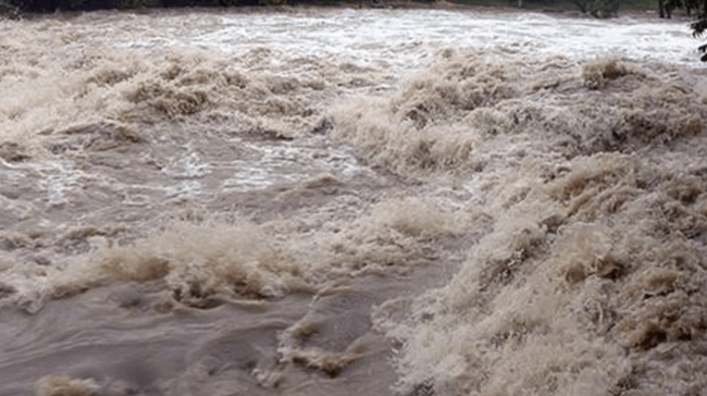 जाजरकोटमा खोला तारेको १ हजार