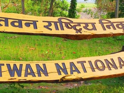 निकुञ्जका वन्यजन्तुलाई नहरको पानी